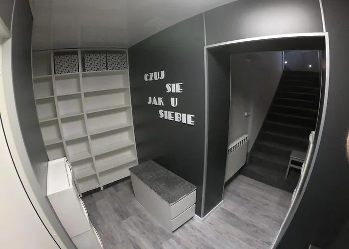 Grey Jastrzębie Zdrój